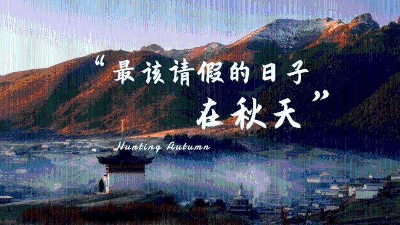 卡姆登市场