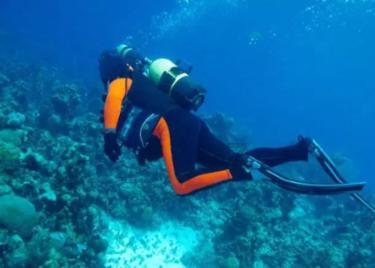 浙江一大爷家树枝过界，男子建房被挡想砍掉，他说什么都不让砍树